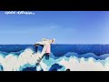 Parrots Video preview