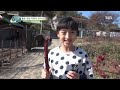 [SBS] 꾸러기 탐구생활 365회 #3(4)