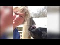 TRY NOT TO LAUGH - Funny Animals Compilation July 2019 - Animals Are Dumb and Silly but Cute