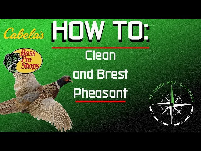 Watch How To Clean A Pheasant on YouTube.