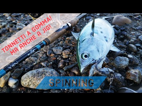 ALLETTERATI A DICEMBRE! Tonnetti a spinning - spinning tuna JIG &amp; BLACK MINNOW - clipangler