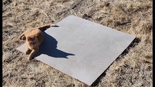 Whats Above This Square Meter?