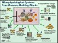 Demystifying Medicine 2014 - Drug-Induced Liver Injury: Who, What, When and How