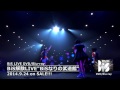 BiS / nerve(BiSなりの武道館より)