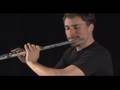 beatboxing flute super mario brothers theme