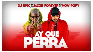 Dj Unic, Jacob Forever, Wow Popy - Ay Que Perra