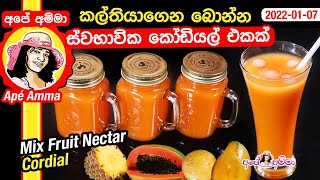 Mix fruit Nectar by Apé Amma