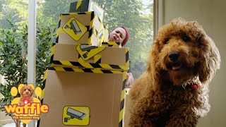 Waffle The Wonder Dog Mega Fun Compilation For Kids Wildbrain Zigzag