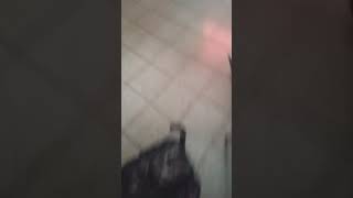 Vlog Diário Na Escola Rafaela Ficou Puta Olha No Que Deu