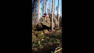 Strom 7A - Panský Les