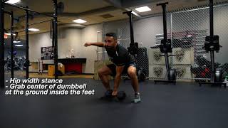 Dumbbell Power Snatch