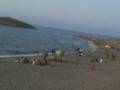 jijel sidi abdelaziz vue général sur la plage