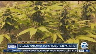 Medical Marijuana Reaction 2