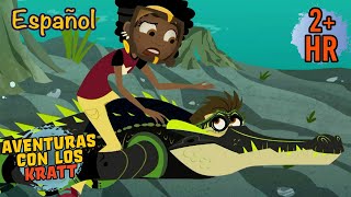 Competición De Cocodrilos Episodios Completos Videos Para Niños Aventuras Con Los Kratt