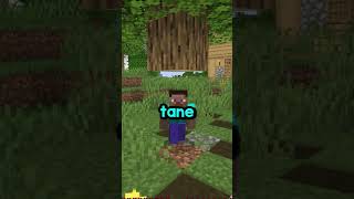 Minecraft Ama Dünyamı Kontrol Ediyorsunuz