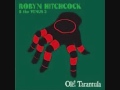 Robyn Hitchcock & the Venus 3 ~ The Authority Box