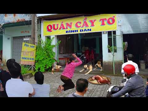 Bà Chủ Nhà Mua Thịt Chó Về Đãi Khách Tới Chơi, Mở Giỏ Ra Thì Tá Hỏa Nhìn Thấy…