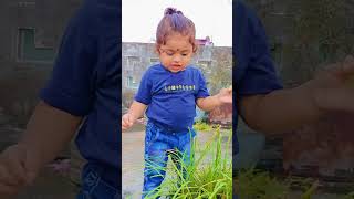 Mazy Bhimach Derara Hya