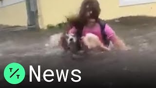 The Bahamas Is 70% Underwater As Hurricane Dorian Hit With Record Force