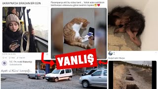 İnternet Yalanlari Ayet-El Kürsi Kavşağı, Sahibi Ölen Kedi, Yaratık, Ukraynada Sıradan Bir Gün
