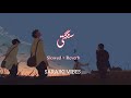 Karijy Kahi da kya Aitbar sangti - Slowed and Reverb song - Saraiki Slowed Reverb song