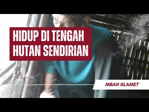 Manusia hutan .mbah slamet (park.2)