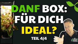 Danf Box Das Ideale System Für Cnnbis-Anbau? Grow-Guide S02 Folge 44