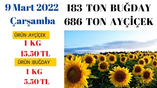9 mart 2022 Çarşamba Ticaret borsası Türkiye  Buğday ve Ayçiçek Fiyatları