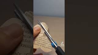 Kitap Sayfasındna Gül Yapımı