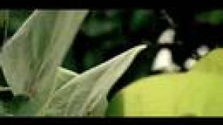 Kardinal Ft. Bedouin Soundclash - Last Standing Soldier