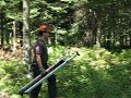 Cric abattage forestier pour diriger la chute d'un arbre