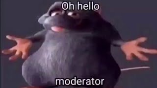 Hello Moderator