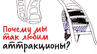 Почему Мы Так Любим Аттракционы? — Научпок