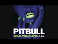 Pitbull - Wild Wild Love (Audio) ft. G.R.L.