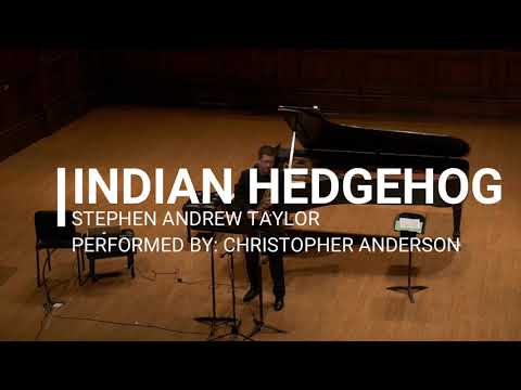 Indian Hedgehog by Stephen Andrew Taylor