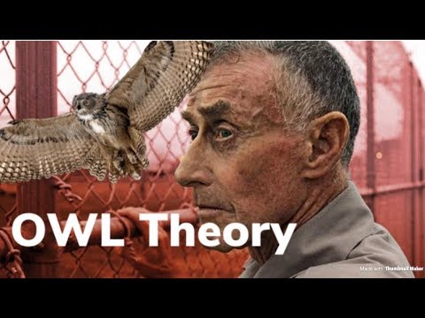 The Staircase | Owl Theory The Staircase | Owl Theory