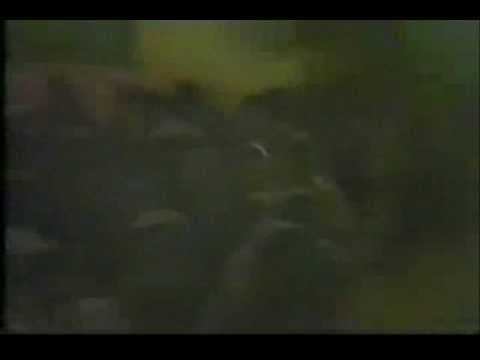 Braham Giani Sant Baba Jarnail Singh Ji Khalsa (Bhindranwale...
