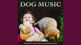 Relaxing Music For Pets