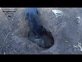 Схватка с барсуком. Спасение нашего ягдтерьера 2017