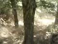 
perdio la bike, venia en