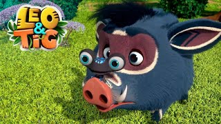 Leo And Tig Bad Luck Funny Family Good Animated Cartoon For Kids