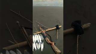 Maser Ikan Blanak Super Babon