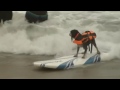 Dogs take to surf boards in competition in California