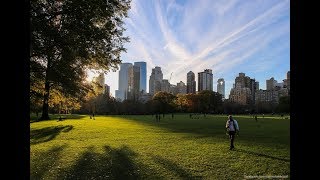 New Yorkun Ünlü Central Parku
