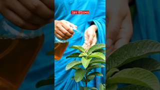 জব কটনশক তর