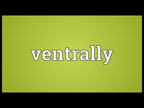 Header of ventrally