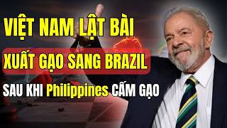 Việt Nam Ký Hiệp Định Đảm Bảo An Ninh Lương Thực Cho Brazil Philippines Cấm Gạo Là Sai Lầm Lớn