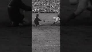 cwlu5UFSq7c Video Image