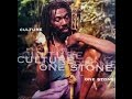 Culture_One Stone (Album) 1996