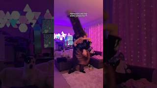 Upside Down Trend Gamer Couple Edition